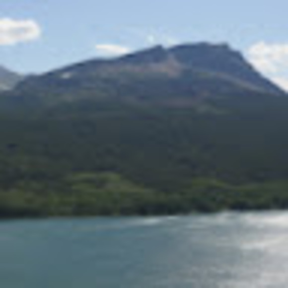 Meet your Posher, Devin - Picture 1 of 1